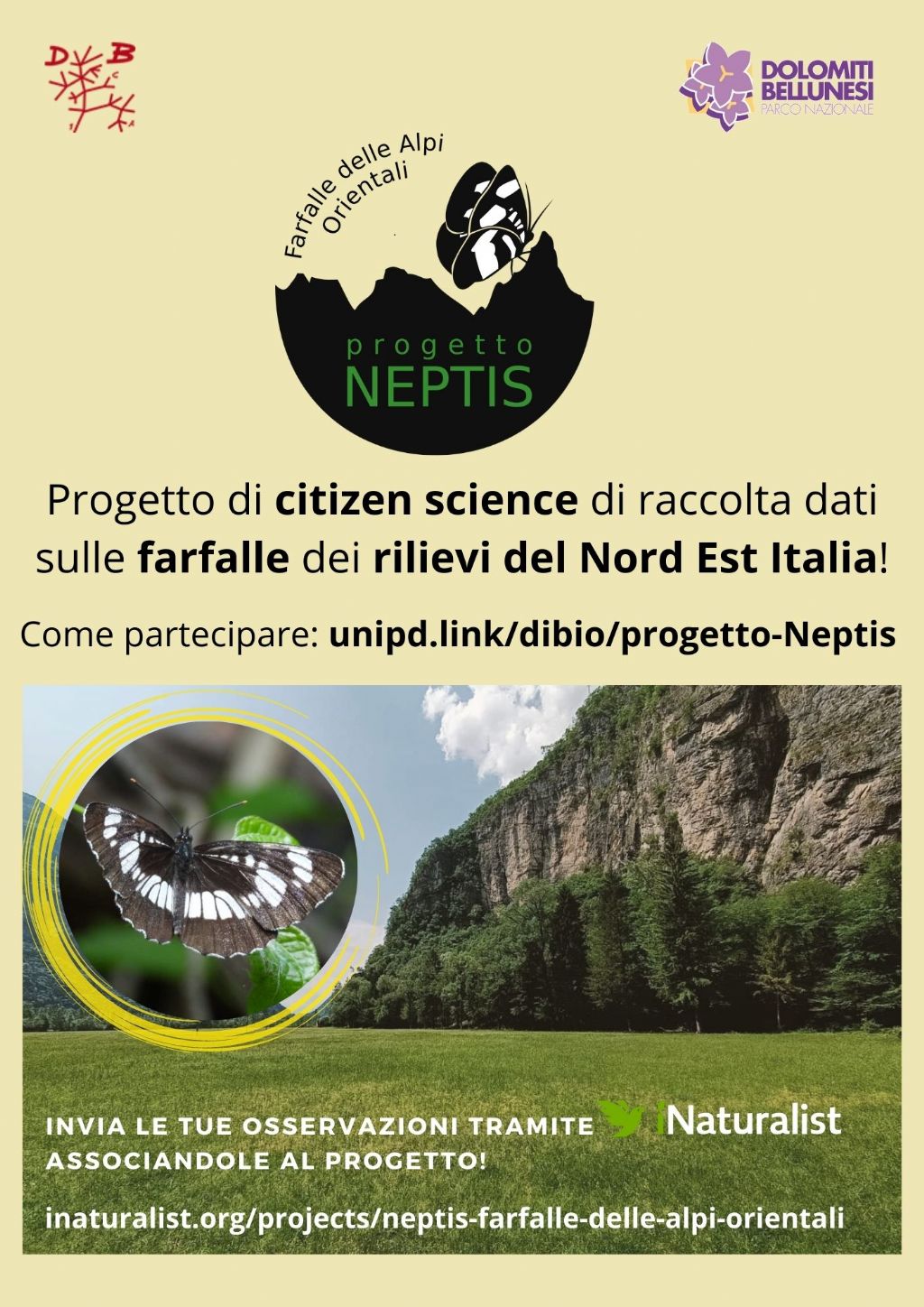 Progetto citizen science: Farfalle delle Alpi Orientali